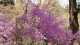 img0014.jpg