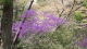img0016.jpg