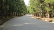 img0018.jpg