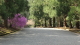 img0019.jpg