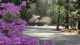 img0020.jpg