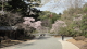 img0031.jpg