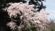 img0032.jpg