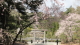 img0033.jpg