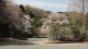 img0040.jpg