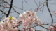 img0041.jpg