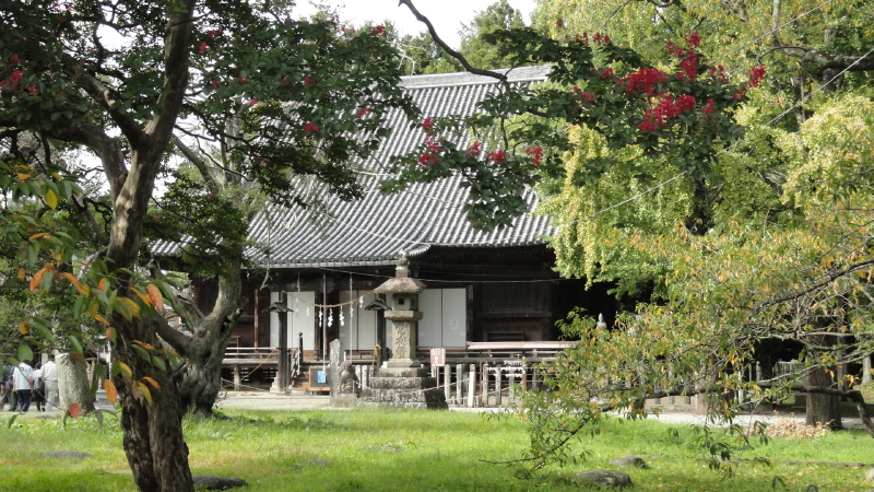 img0010.jpg