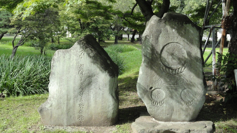 img0022.jpg