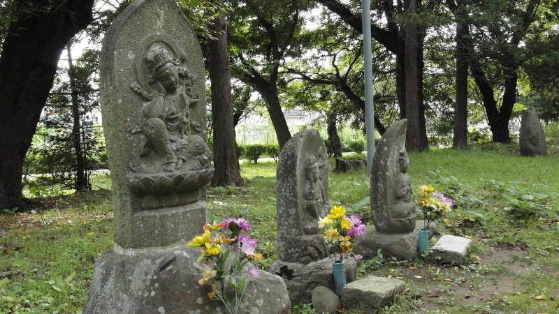 img0029.jpg