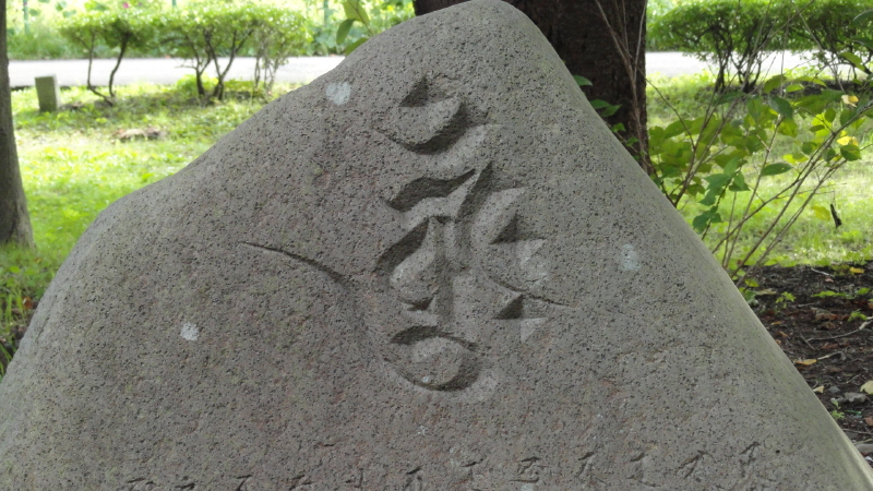 img0030.jpg
