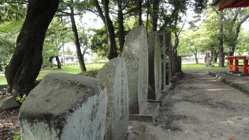 img0031.jpg