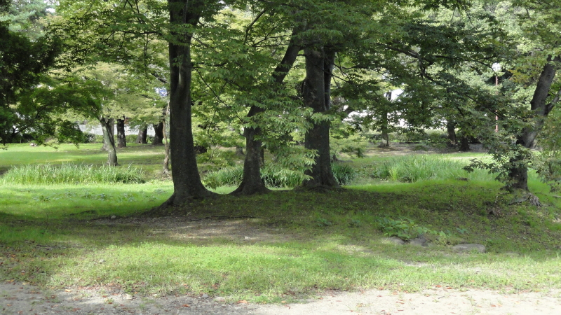 img0032.jpg