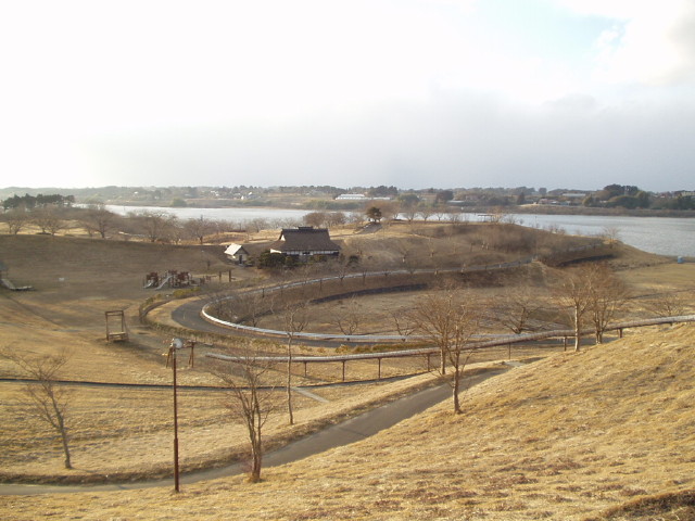 img0005.jpg