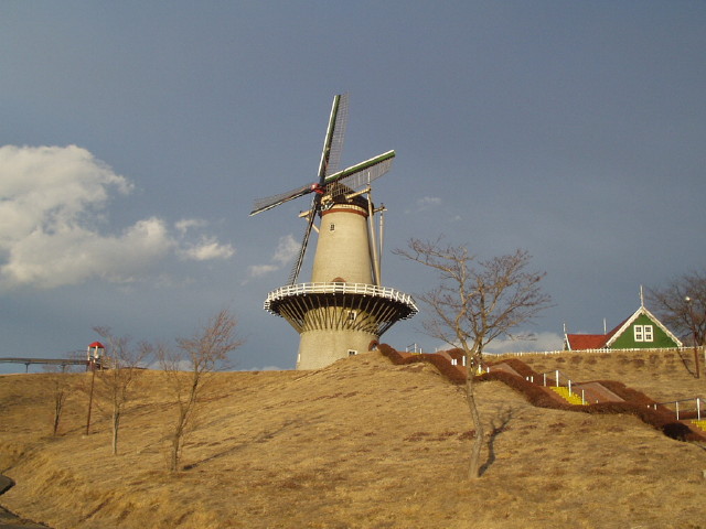 img0008.jpg