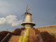img0007.jpg