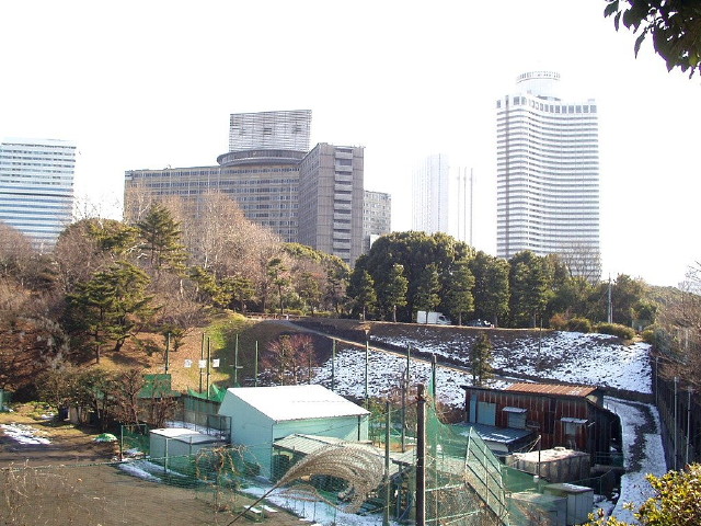 img0000.jpg