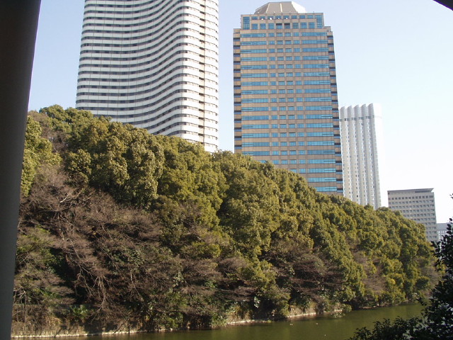 img0004.jpg