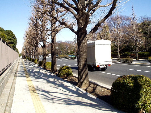 img0029.jpg