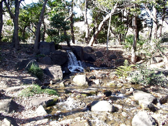 img0045.jpg