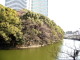 img0003.jpg