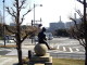 img0010.jpg