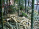 img0018.jpg