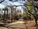 img0035.jpg