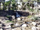 img0045.jpg