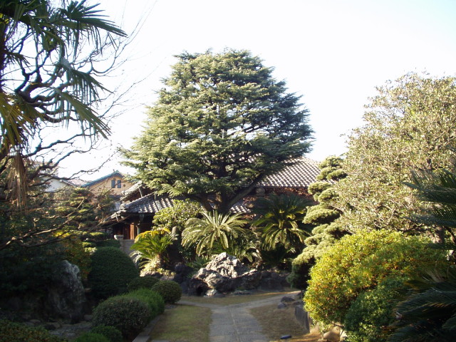 img0002.jpg
