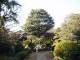 img0002.jpg