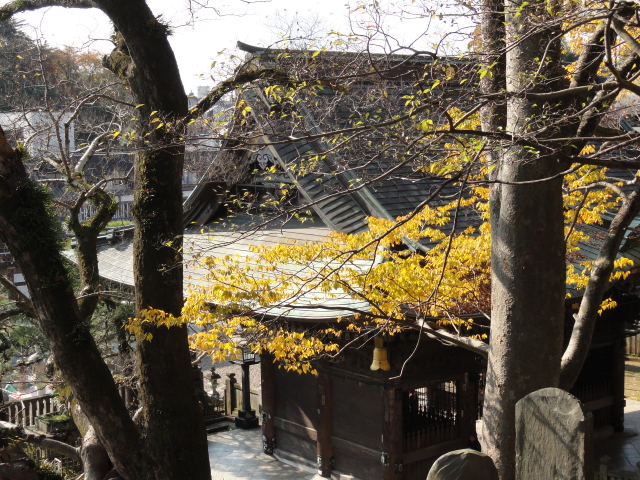 img0015.jpg