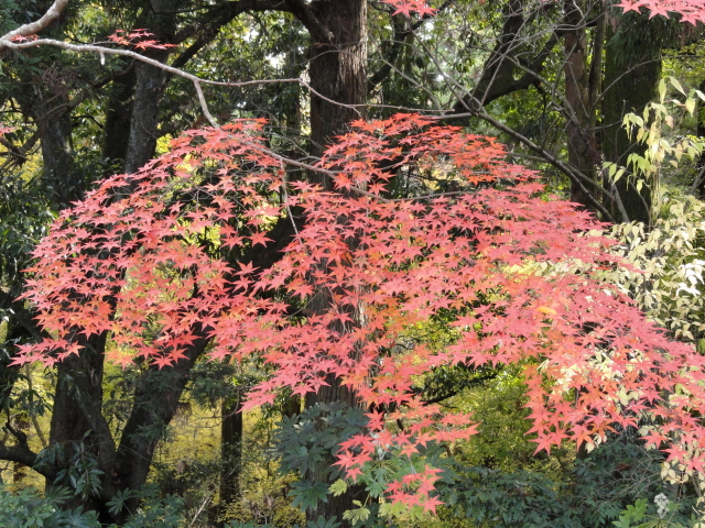img0044.jpg