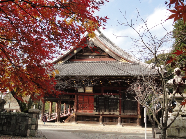 img0045.jpg