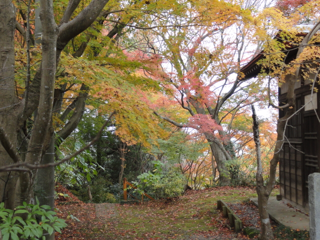 img0051.jpg