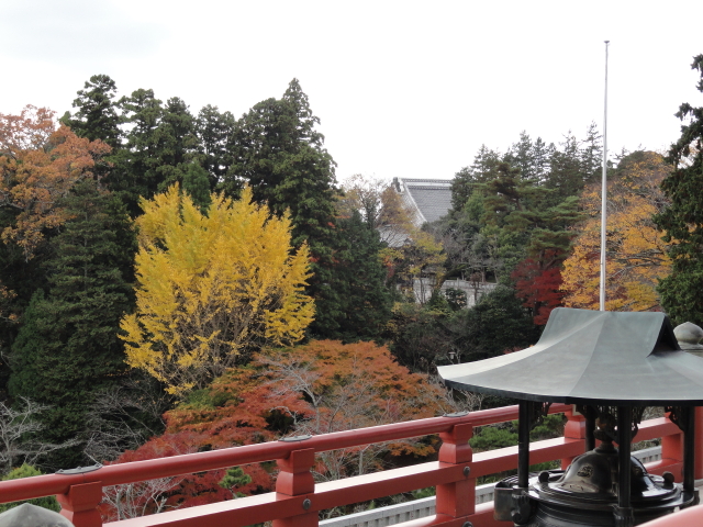 img0059.jpg