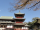 img0017.jpg