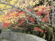 img0043.jpg