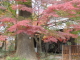 img0049.jpg