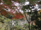 img0055.jpg