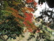 img0057.jpg