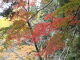img0058.jpg