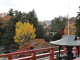 img0059.jpg
