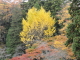 img0060.jpg