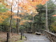 img0063.jpg
