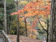img0064.jpg