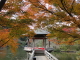 img0069.jpg