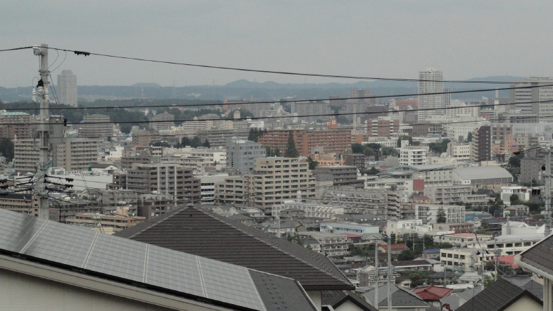 img0010.jpg