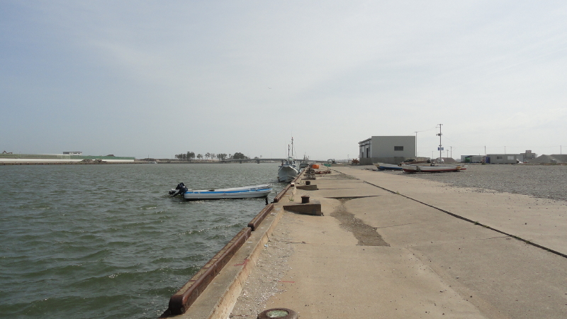 img0015.jpg