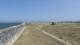img0004.jpg