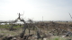 img0027.jpg